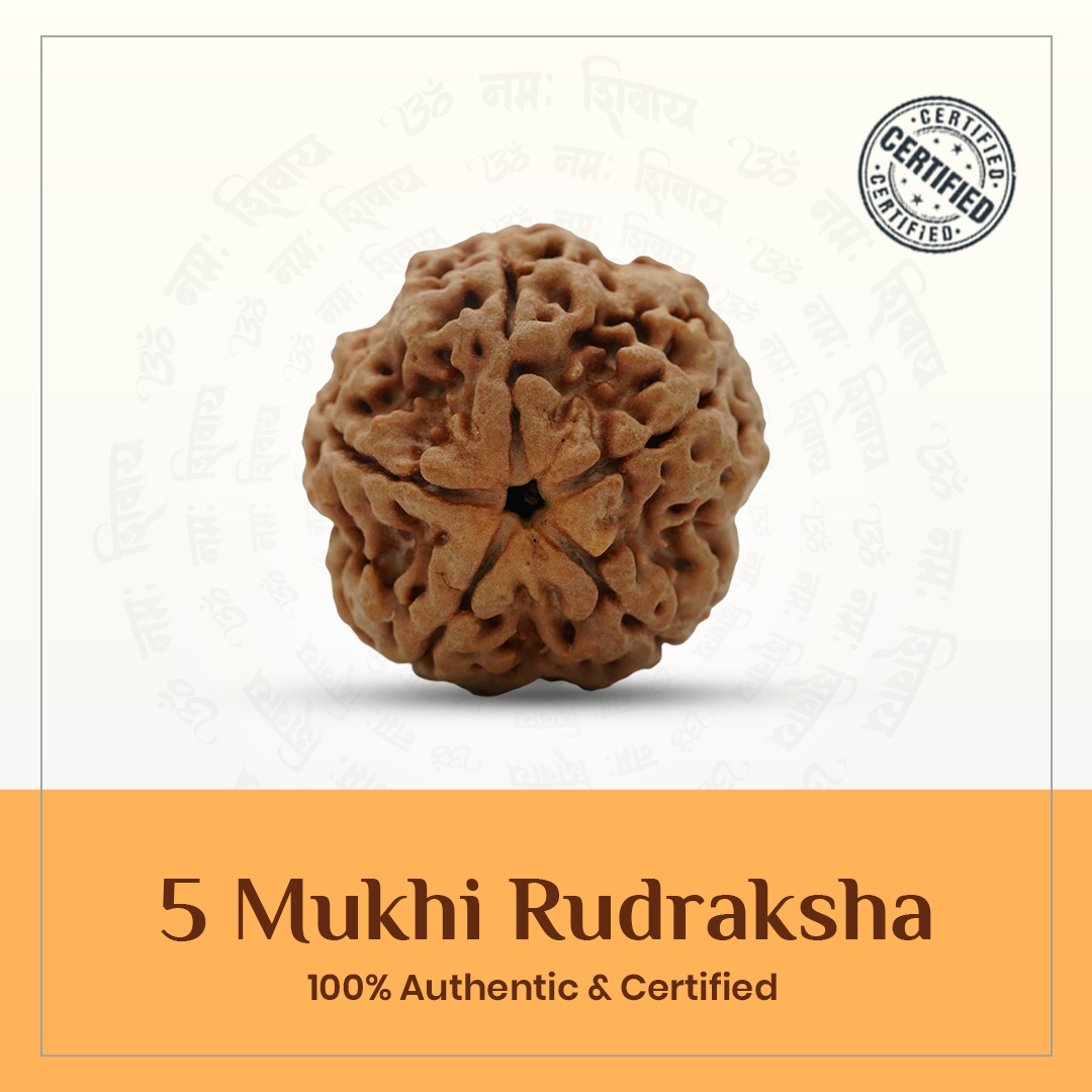 ⁠5 mukhi